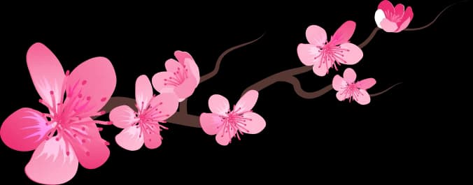 Sakura1