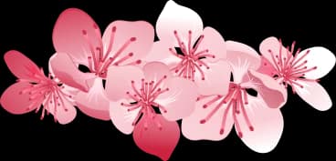 Sakura3